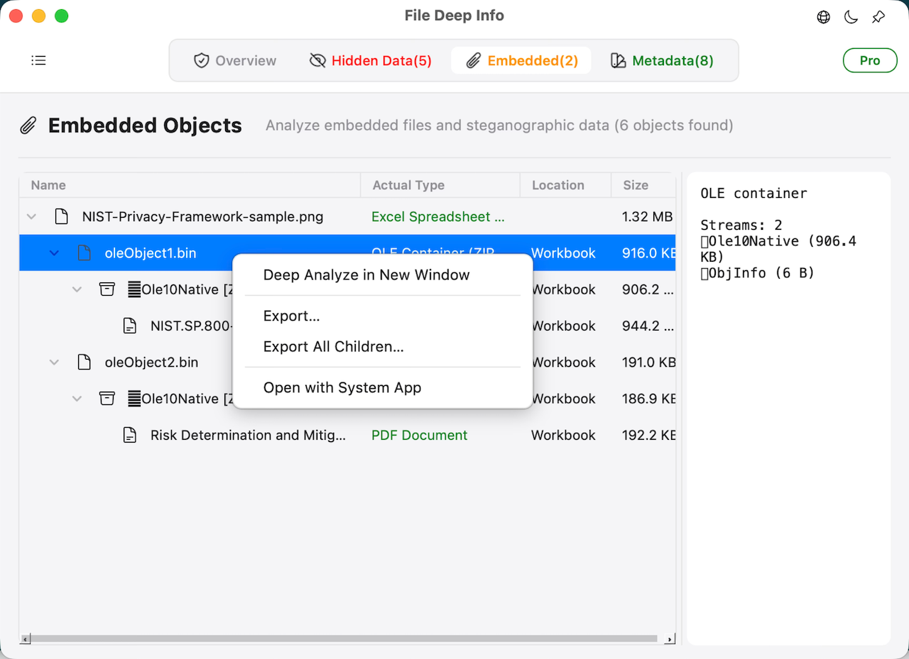Embedded Object Extraction