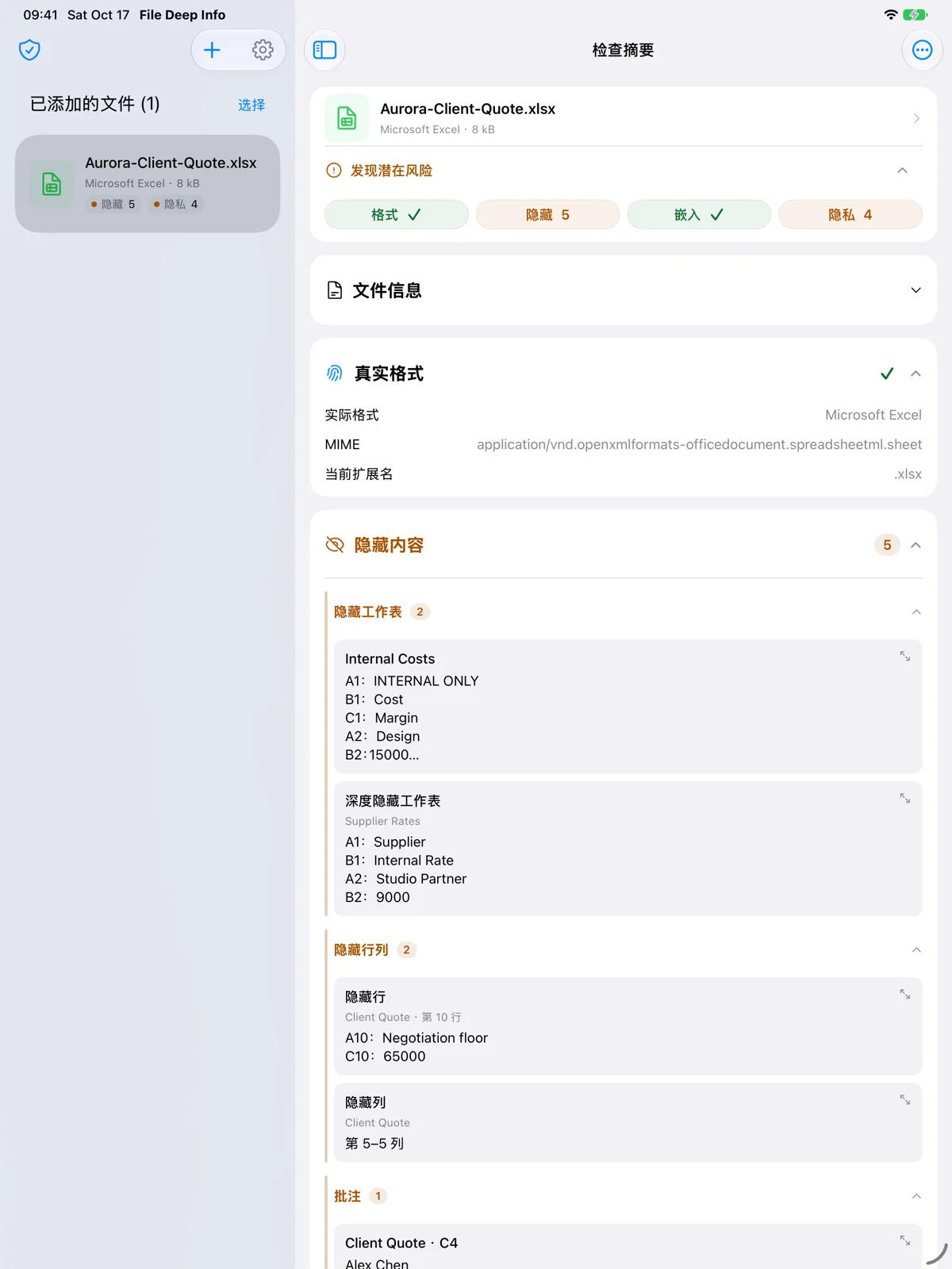 iPad — 查看檢查摘要