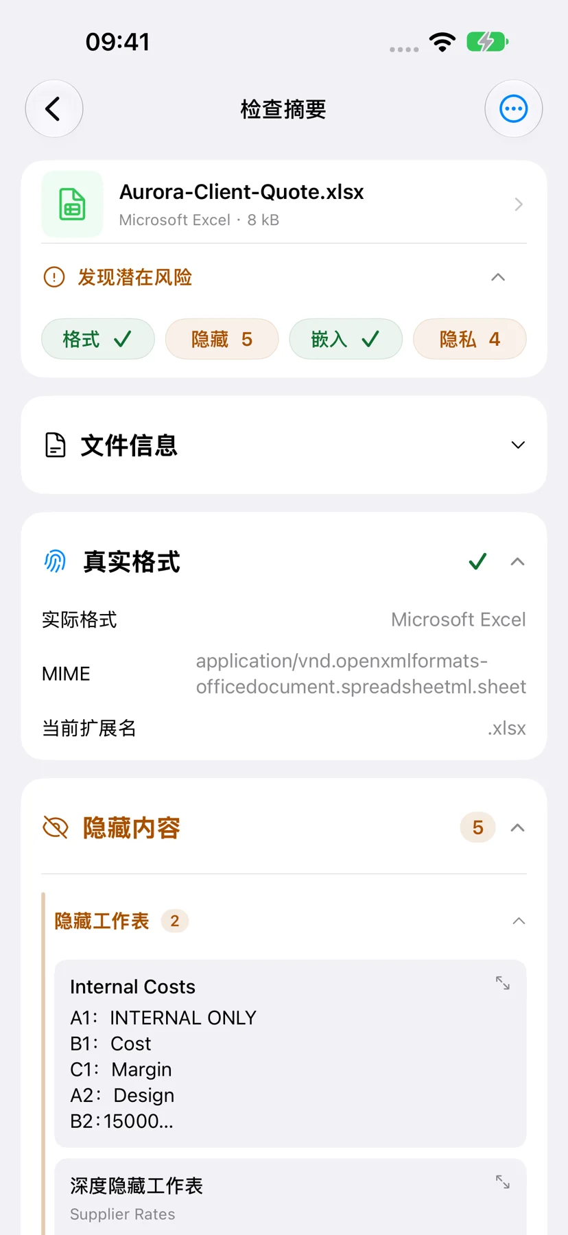 iPhone — 查看檢查摘要