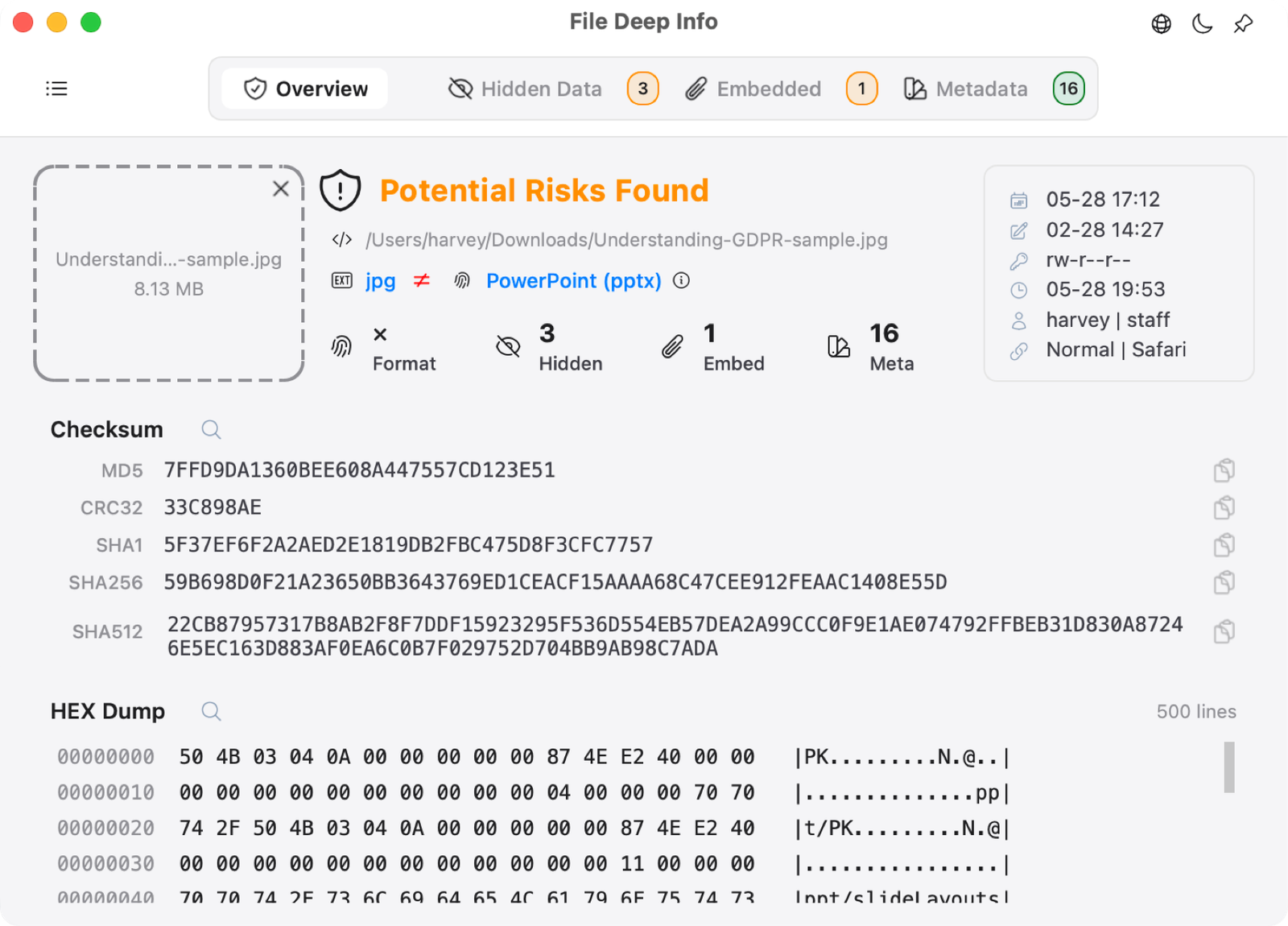 File Deep Info overview and risk inspection interface