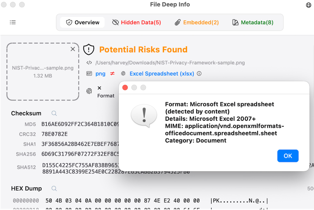 Triple-Engine Format Identification